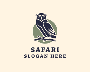 Owlet - Owl Bird Aviary logo design
