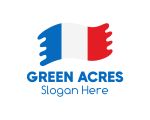 Modern French Flag  logo design