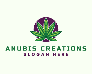 Hemp Cannabis Leaf logo design