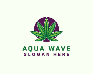 Hemp Cannabis Leaf logo design