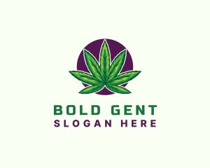 Hemp Cannabis Leaf logo design