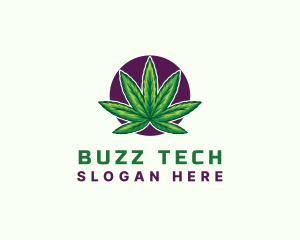 Hemp Cannabis Leaf logo design