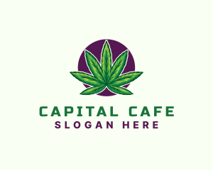 Hemp Cannabis Leaf logo design