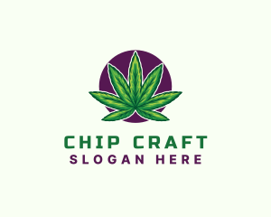 Hemp Cannabis Leaf logo design