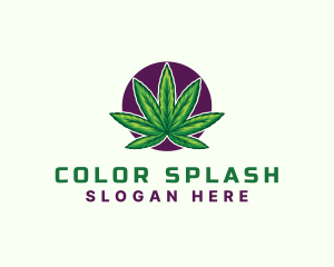 Hemp Cannabis Leaf logo design