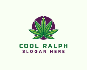 Hemp Cannabis Leaf logo design