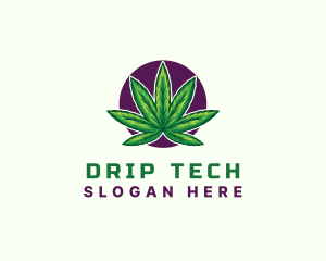 Hemp Cannabis Leaf logo design