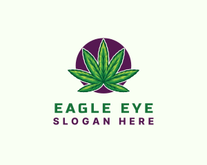 Hemp Cannabis Leaf logo design