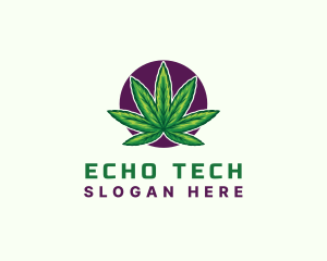 Hemp Cannabis Leaf logo design