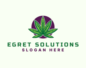 Hemp Cannabis Leaf logo design