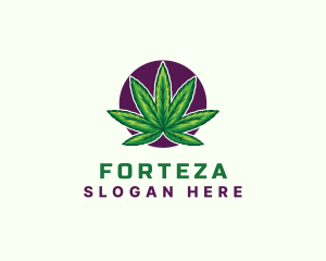 Hemp Cannabis Leaf logo design