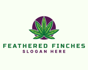 Hemp Cannabis Leaf logo design