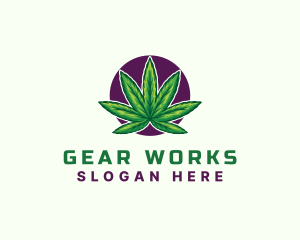 Hemp Cannabis Leaf logo design