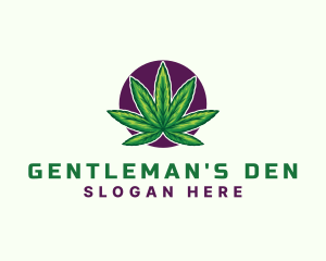 Hemp Cannabis Leaf logo design