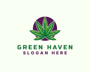 Hemp Cannabis Leaf logo design