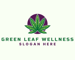 Cbd - Hemp Cannabis Leaf logo design