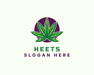 Hemp Cannabis Leaf logo design