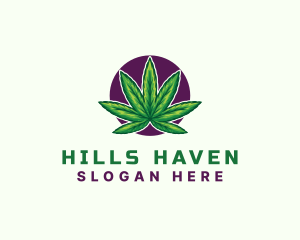 Hemp Cannabis Leaf logo design