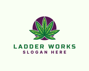 Hemp Cannabis Leaf logo design