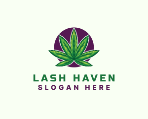 Hemp Cannabis Leaf logo design