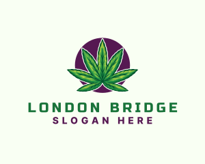 Hemp Cannabis Leaf logo design