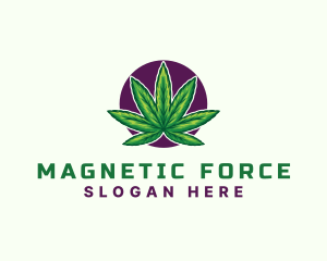 Hemp Cannabis Leaf logo design