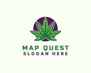 Hemp Cannabis Leaf logo design