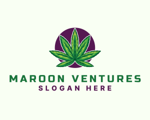 Hemp Cannabis Leaf logo design