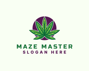 Hemp Cannabis Leaf logo design