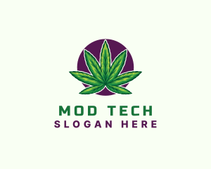 Hemp Cannabis Leaf logo design