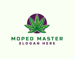 Hemp Cannabis Leaf logo design