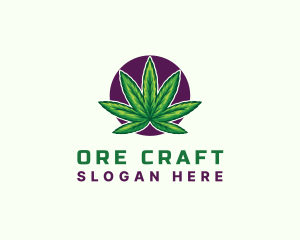 Hemp Cannabis Leaf logo design