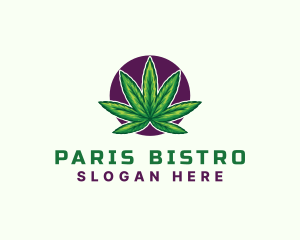 Hemp Cannabis Leaf logo design