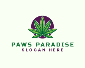 Hemp Cannabis Leaf logo design