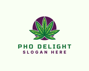 Hemp Cannabis Leaf logo design