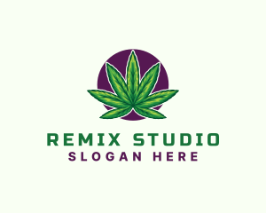 Hemp Cannabis Leaf logo design