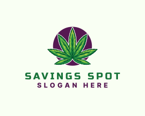 Hemp Cannabis Leaf logo design