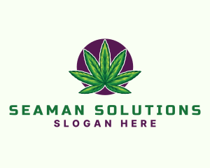 Hemp Cannabis Leaf logo design