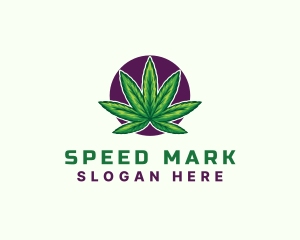 Hemp Cannabis Leaf logo design