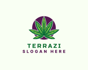 Hemp Cannabis Leaf logo design