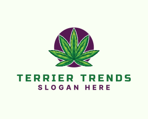 Hemp Cannabis Leaf logo design