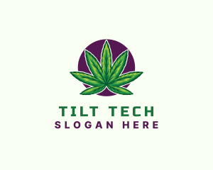 Hemp Cannabis Leaf logo design