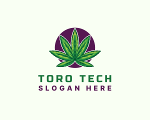 Hemp Cannabis Leaf logo design