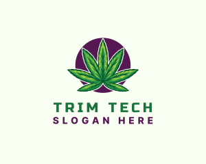 Hemp Cannabis Leaf logo design