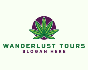 Hemp Cannabis Leaf logo design