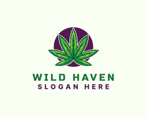 Hemp Cannabis Leaf logo design