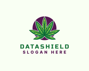 Hemp Cannabis Leaf logo design