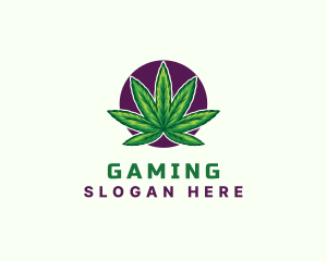 Cbd - Hemp Cannabis Leaf logo design