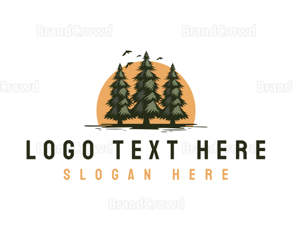 Eco Pine Tree Logo