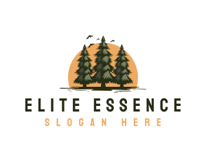 Eco Pine Tree  Logo